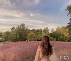 プロフィール写真1・シオン｜Second Chance anan・セカンドチャンス アンアン - 堂山町のスナック