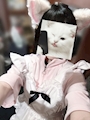 新着ブログ にーにゃお