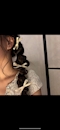 プロフィール写真1・るる|club 縁 -ENISHI-・エニシ - 郡山駅前のキャバクラ