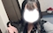 プロフィール写真2・わかな ViVid -IKB-|池袋 キャバクラ・vivid