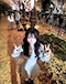 プロフィール写真1・りり|American Stylish Lounge CanCan・カンカン - 上野のキャバクラ