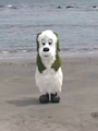 るな