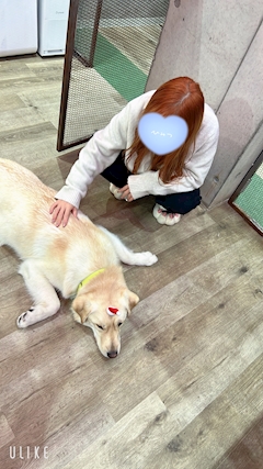 プロフィール写真1・立華　アヤカ｜Club PIERCE・ピアス - 香里園のキャバクラ