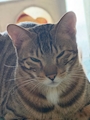 新着ブログ あぶねあぶね