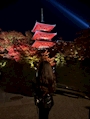 かりな