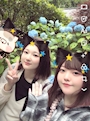 新着ブログ 紫陽花