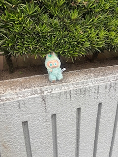 かな