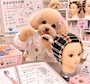 chiko