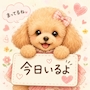 chiko