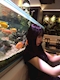 プロフィール写真2・あいな｜GIRLS BAR FLOR・フロール - 立川駅南口のガールズバー