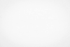 プロフィール写真1・れんら|CLUB BLUNO COLLECTION・ブルーノ コレクション - 中洲のキャバクラ