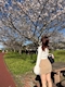 プロフィール写真3・みく|奈々・ナナ - 佐世保市・塩浜町のスナック