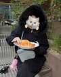 ふう