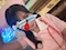 プロフィール写真9・さな 🐺オオカミちゃん🐺|オオカミちゃん - 三宮のガールズバー