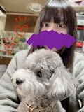 みやび