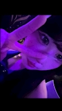 ゆん
