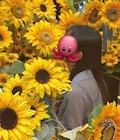 たこ