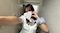 プロフィール写真1・さやか シュシュ新橋烏森口店|ChouChou Shinbashi・シュシュ新橋烏森口店 - 新橋のキャバクラ