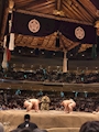新着ブログ 力士強し‼️