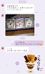 新着ブログ かわいい。笑 / ぷかぶか🫧
