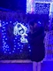 プロフィール写真2・ゆり|Girl's Bar A L'AISE 松山店・アレーズ - 松山市のガールズバー