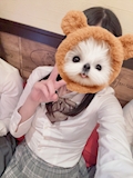 女の子の名前