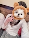 プロフィール写真1・Ciao まお|梅田 キャバクラ・Ciao