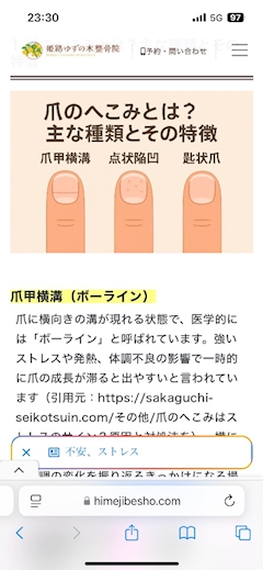 SPくま🐻