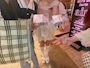 新着ブログ 0619