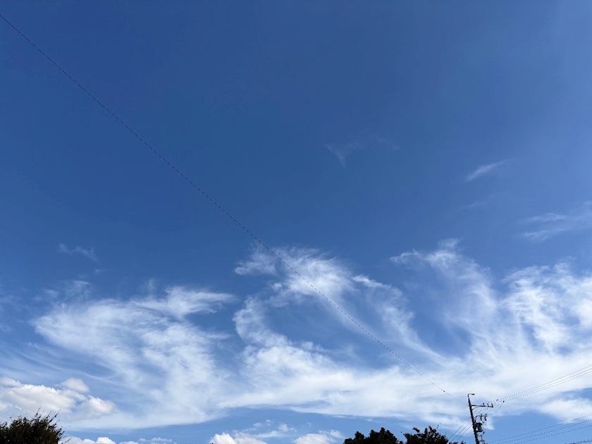 まな