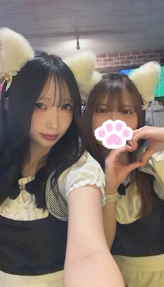 つき「こんばんにゃん🐱」