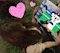 プロフィール写真2・まい🐨🧢|CLUB ROYAL・ロイヤル - 中洲の熟女キャバクラ