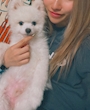 新着ブログ おちつくところ🐶🐾
