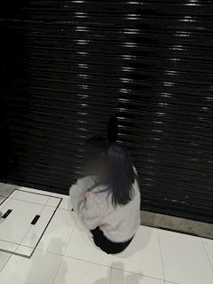 プロフィール写真1・うき｜COCOON 苦竹店・コクーン - 苦竹のガールズバー