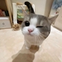 新着ブログ 昨日はお休みしました🙏🏻