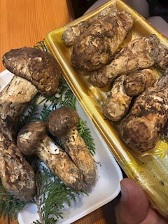 るり