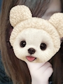 chiko