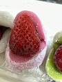 新着ブログ 🍡
