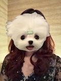 るる