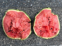 もも