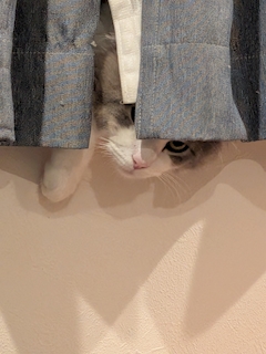 かな