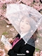 プロフィール写真1・しほ｜snack DAYS・デイズ - 名古屋 中村区のスナック