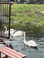 新着ブログ こんばんは