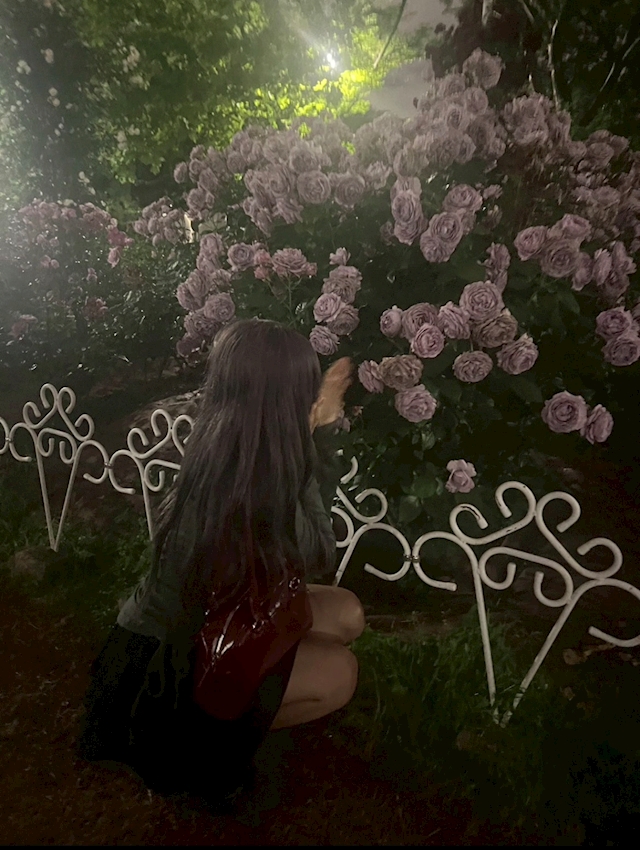 プロフィール写真1・なみ|