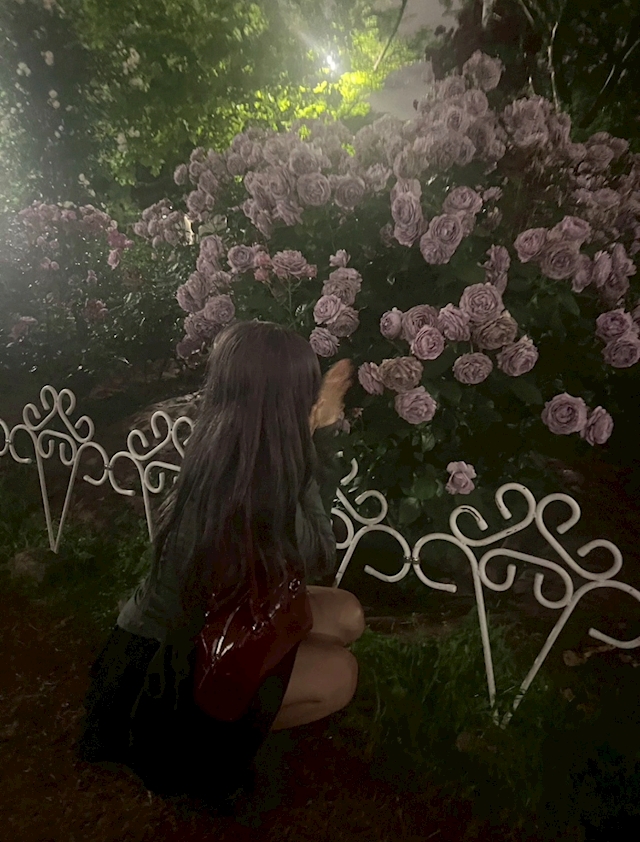 プロフィール写真1・なみ|