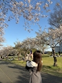 ひなこ
