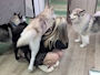 新着ブログ 20時からいます!