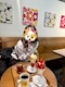 プロフィール写真1・しおり｜GIRLS LOUNGE TMC・ティーエムシー - 田町のクラブ/ラウンジ