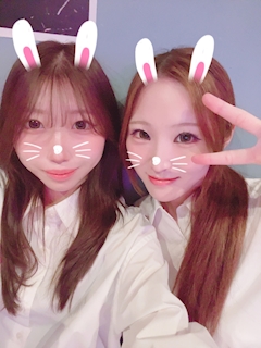あさ