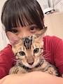 新着ブログ やぷ！